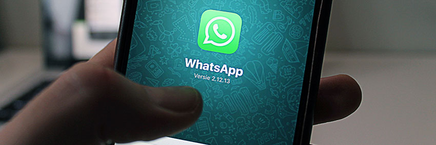 Whatsapp para o seu Negócios